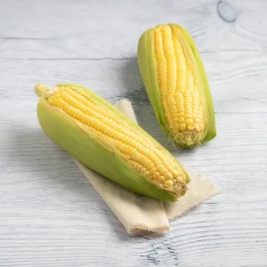Sweet Corn ( गोड मका ) (1 kg)