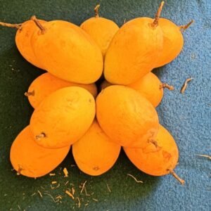 Mango हापुस ( 1 Dozen = 12 pcs)