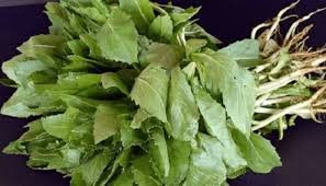 Safflower leaves  ( करडई भाजी ) ( 1  Bunddle )
