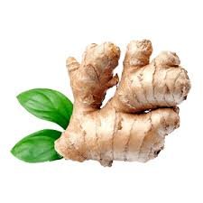 A GINGER (आद्रक ) ( 1 kg )