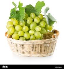 Grapes ( द्रांक्ष / अंगूर ) ( 1 kg  )