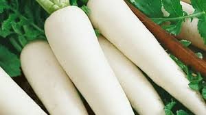 Radish ( मुळा ) ( 1 pcs )