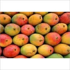 Lalbaag Mango ( लालबाग आंबा ) (1 kg)