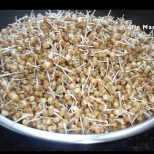 Soaked Moth beans  ( भिजलेली मटकी ) ( 1 kg )
