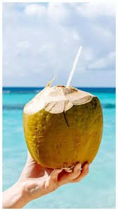 Coconut ( नारळ ) ( 1 Pcs )
