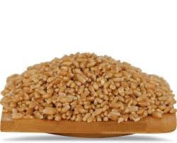 Wheat ( गहू   ) ( 1 Kg  )