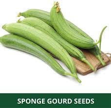 Sponge Gourd ( गिलके ) ( 1 kg )