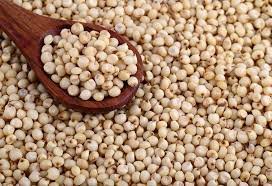 Sorghum( ज्वारी  ) ( 1 Kg  )