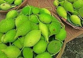 Spine Gourd( कंटूले  ) ( 1 kg )