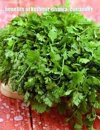 A Coriander Bunddle ( कोथिंबीर भेळा  ) (1 pcs )
