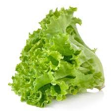 Z   Green lettuce ( 250 gm )