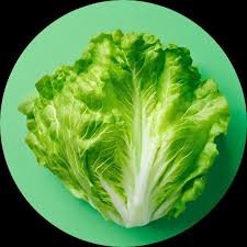 Z Lettuce Iceberg  ( 250 gm )