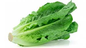 Z  Romania lettuce ( 250 gm)