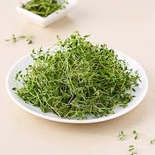 Z Thyme ( 250 gm )