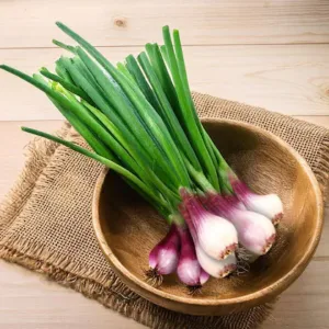 Spring onion ( कांदा पात ) ( 1 Bun )