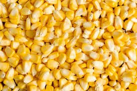 Sweet Corn ( मका  ) ( 500 gm )