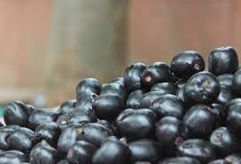 Black plum ( राय जाभुळ  ) ( 1 kg )